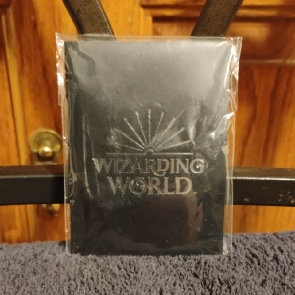 Wizarding World Magical Places Ollivanders Loot Crate Exclusive Pin NWT